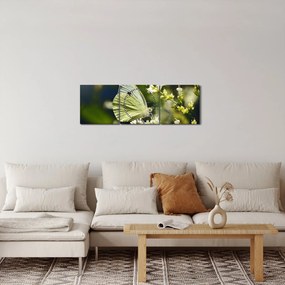 Obraz motýľa (s hodinami) (90x30 cm)