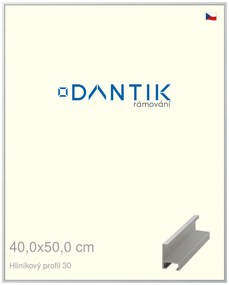 DANTIK rám na obraz 40x50 | ALU Stříbrná matná (Sklo Čiré)
