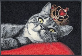 Mačací kráľ- rohožka 50x75 cm