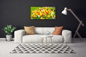 Obraz Canvas Tulipány kvety príroda 120x60 cm