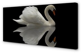 Obraz na plátne Swan v noci 125x50 cm