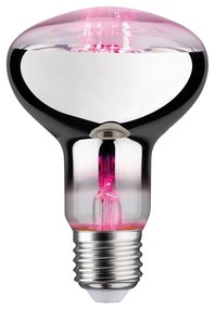 Botanická LED žiarovka E27 R80 6,5 W