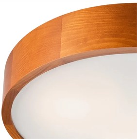 Stropné svietidlo 3xE27/60W/230V