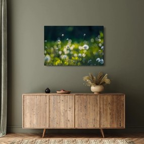 Obraz - Tráva (90x60 cm)