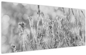 Obraz - Chladná zima (120x50 cm)