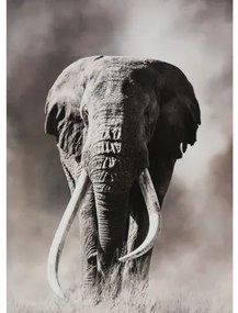 Obraz tlačený na plátne 50x70 PRC1099