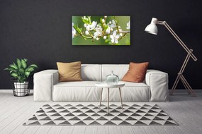Obraz Canvas Kvety vetvy listy sad 120x60 cm