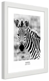 Gario Plagát Zvedavá zebra Farba rámu: Bez rámu, Rozmery: 20 x 30 cm