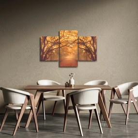 Obraz cesty v jesennej krajine (90x60 cm)