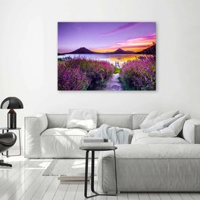 Obraz na plátně Krajina Levandulového jezera - 120x80 cm