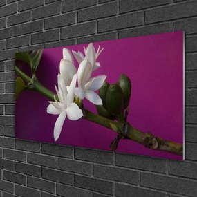 Skleneny obraz Kvety úhonky príroda 100x50 cm