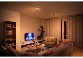 Philips 50602/31/P0 - LED Bodové svietidlo BUKKO 2xLED/4,5W/230V