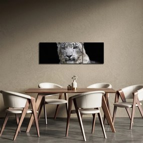 Obraz - Leopard snežný (s hodinami) (90x30 cm)
