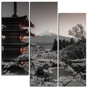 Obraz na plátne - Pohľad na horu Fuji - štvorec 361FC (105x105 cm)