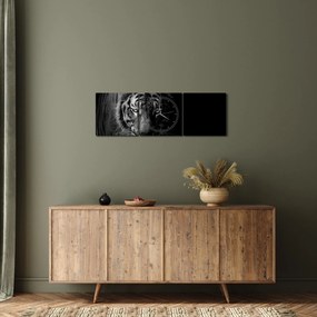 Obraz divokého tigra (s hodinami) (90x30 cm)
