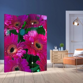 Paraván - Kvety (126x170 cm)
