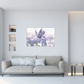 Obraz - Motýľ a levanduľa (90x60 cm)