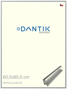 DANTIK rám na obraz 60x80 | ALU Stříbrná matná (Plexi Čiré)