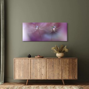 Obraz kvapôčok na páperí (120x50 cm)