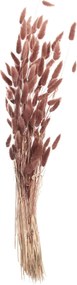 Kytica fúkačiek 60cm dusty pink