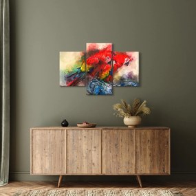 Obraz červených papagájov ara (90x60 cm)
