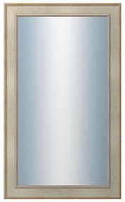 DANTIK - Zrkadlo v rámu, rozmer s rámom 60x100 cm z lišty TOOTH strieborná (2779)