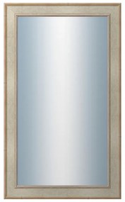 DANTIK - Zrkadlo v rámu, rozmer s rámom 60x100 cm z lišty TOOTH strieborná (2779)
