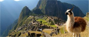 Obrázok - Lama a Machu Picchu (120x50 cm)