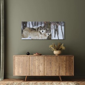 Obraz - Vlci v zime (120x50 cm)