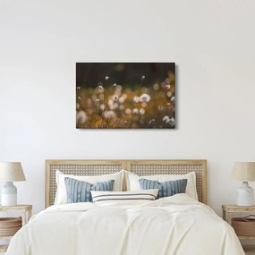 Obraz - Lúka s cottongrass N⁰2 (90x60 cm)