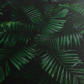 Obraz - Tropické papradie (90x60 cm)