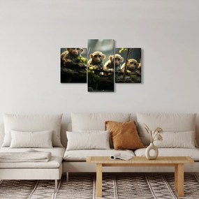 Obraz - Opičky (90x60 cm)