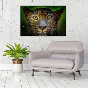 Obraz - Portrét leoparda, Sri Lanka (90x60 cm)