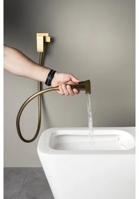 Sapho - Bidetová batéria CUBEMIX so sprškou pre podomietkovú inštaláciu, matná zlatá