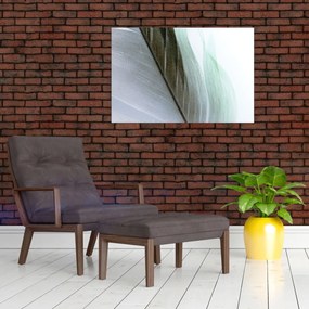 Obraz - Perie, makro (90x60 cm)