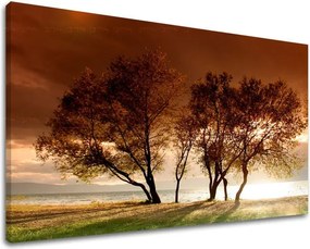 Obraz na stenu STROMY