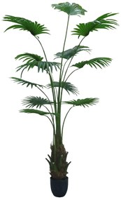 Artificial plant Washingtonia Robusta 200cm