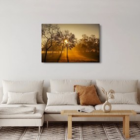 Obraz - Východ slnka (90x60 cm)