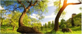 Obraz jarnej lúky (120x50 cm)
