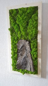 Machový obraz s prírodnou kôrou 100cm x 45cm