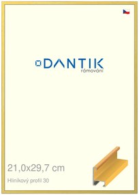 DANTIK rám na obraz 21x29,7 | ALU Dýha barevná žlutá (Sklo Čiré)