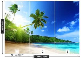 Fototapeta Vliesová Pláž na seychelách 208x146 cm