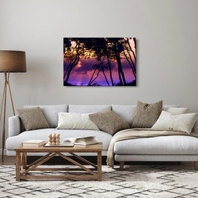 Obraz - Stromy pri západe slnka (90x60 cm)