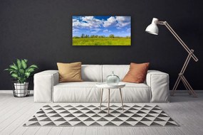 Obraz Canvas Lúka tráva nebo krajina 140x70 cm