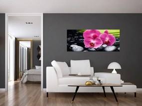 Obraz - Ružové orchidey s palmovým listom (120x50 cm)