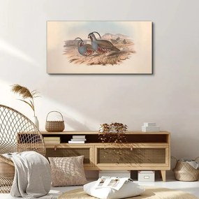 Obraz Canvas zvieratá vtákov