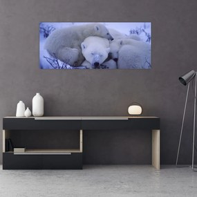 Obraz - Ľadové medvedíky (120x50 cm)