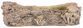 Betonový obal - truhlík, drevo s hubami, 49 x 21 x15 cm