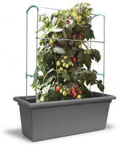 Gardenico Vertikálna podpera Green Wall Magnus, 100 cm, 100 cm
