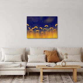 Obraz - Púpavy (70x50 cm)